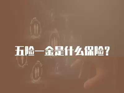 五險一金是什么保險？