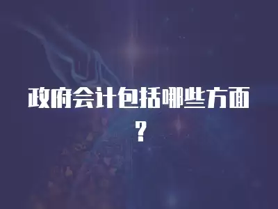 政府會計包括哪些方面？