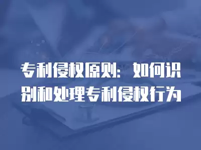 專利侵權(quán)原則：如何識(shí)別和處理專利侵權(quán)行為