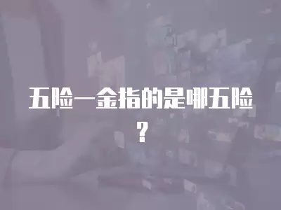 五險一金指的是哪五險？