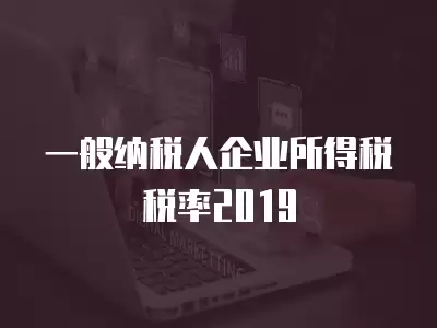 一般納稅人企業所得稅稅率2019