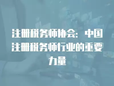 注冊稅務師協會：中國注冊稅務師行業的重要力量