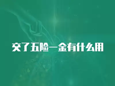 交了五險(xiǎn)一金有什么用