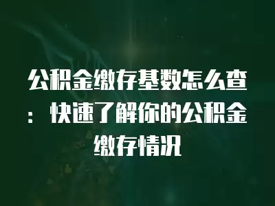 公積金繳存基數怎么查：快速了解你的公積金繳存情況