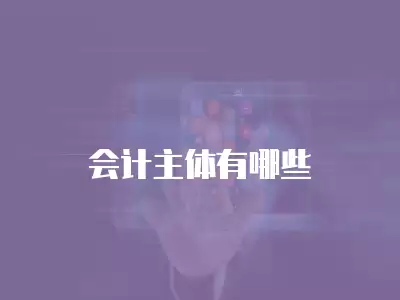 會(huì)計(jì)主體有哪些