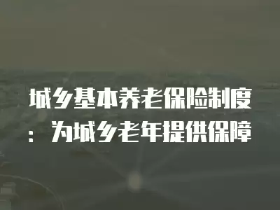 城鄉基本養老保險制度：為城鄉老年提供保障