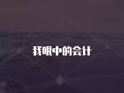 我眼中的會(huì)計(jì)