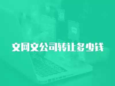 文網文公司轉讓多少錢