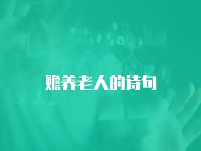 贍養(yǎng)老人的詩(shī)句