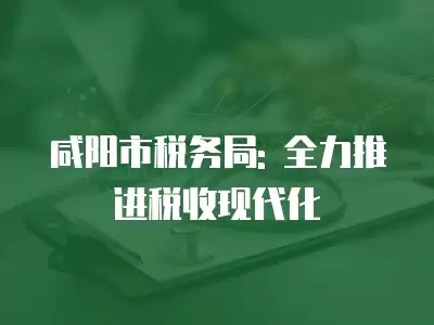 咸陽市稅務局: 全力推進稅收現代化