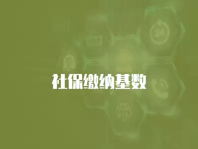 社保繳納基數