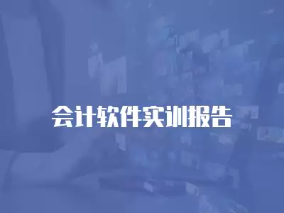 會(huì)計(jì)軟件實(shí)訓(xùn)報(bào)告