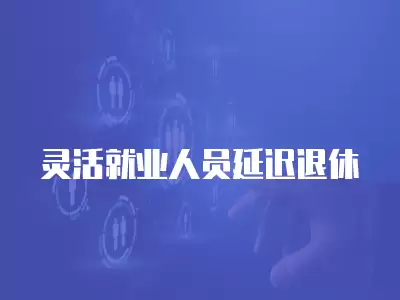 靈活就業(yè)人員延遲退休