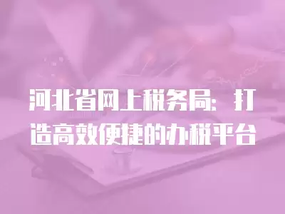 河北省網上稅務局：打造高效便捷的辦稅平臺