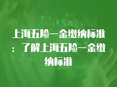 上海五險(xiǎn)一金繳納標(biāo)準(zhǔn)：了解上海五險(xiǎn)一金繳納標(biāo)準(zhǔn)