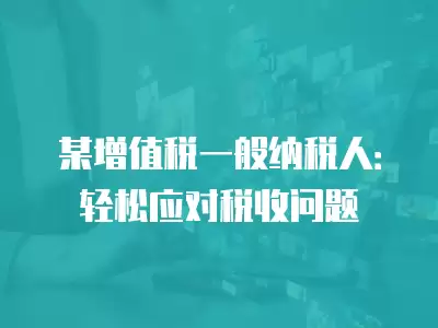 某增值稅一般納稅人：輕松應對稅收問題