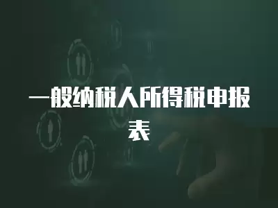 一般納稅人所得稅申報表