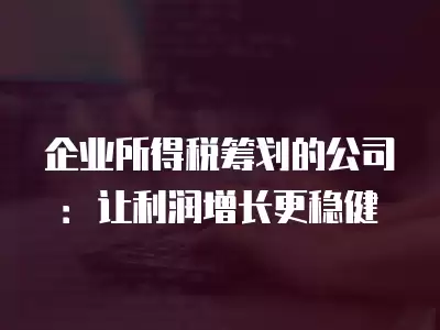 企業(yè)所得稅籌劃的公司：讓利潤增長更穩(wěn)健