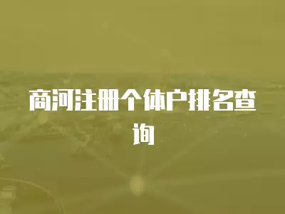 商河注冊個體戶排名查詢