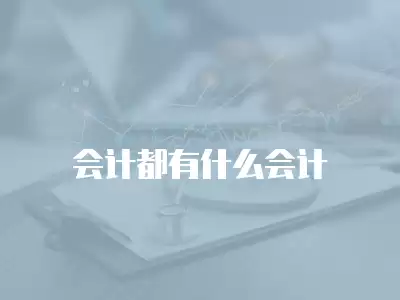 會計都有什么會計