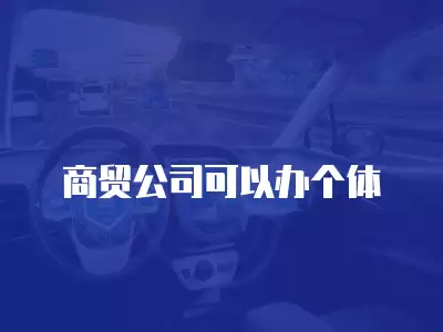 商貿公司可以辦個體