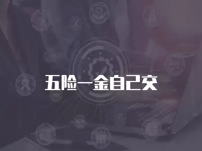 五險一金自己交