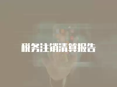 稅務(wù)注銷清算報告