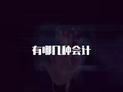 有哪幾種會(huì)計(jì)