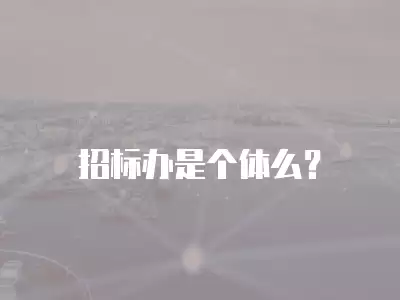 招標辦是個體么？