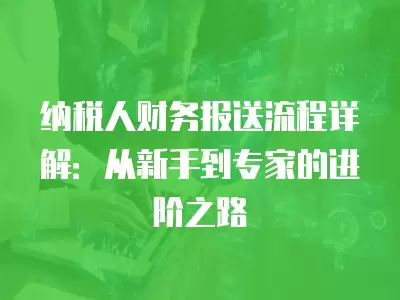 納稅人財務報送流程詳解：從新手到專家的進階之路