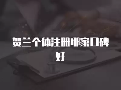 賀蘭個體注冊哪家口碑好