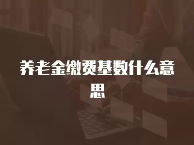 養老金繳費基數什么意思