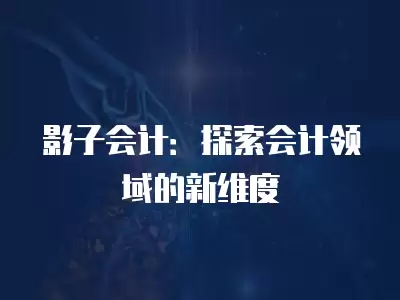 影子會計：探索會計領域的新維度