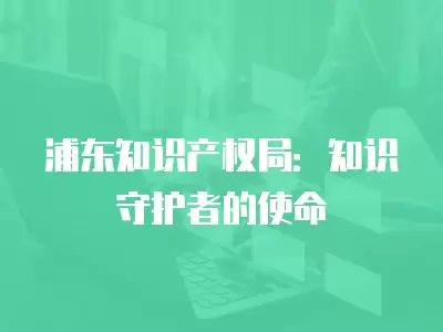 浦東知識產權局：知識守護者的使命