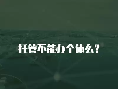 托管不能辦個體么？