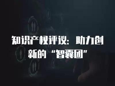 知識產權評議：助力創新的“智囊團”