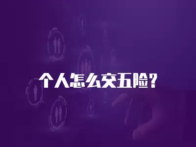 個人怎么交五險？