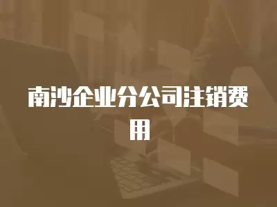 南沙企業(yè)分公司注銷費(fèi)用