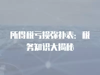 所得稅虧損彌補表：稅務知識大揭秘