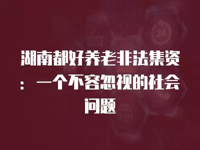 湖南都好養老非法集資：一個不容忽視的社會問題