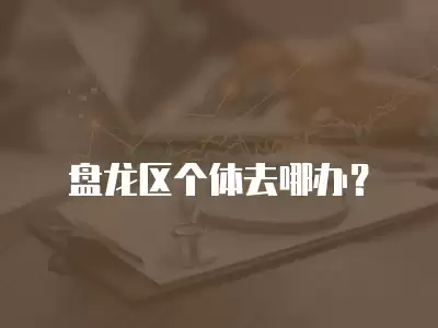 盤龍區個體去哪辦？