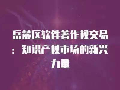 岳麓區軟件著作權交易：知識產權市場的新興力量