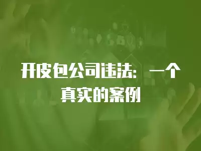 開皮包公司違法：一個真實(shí)的案例