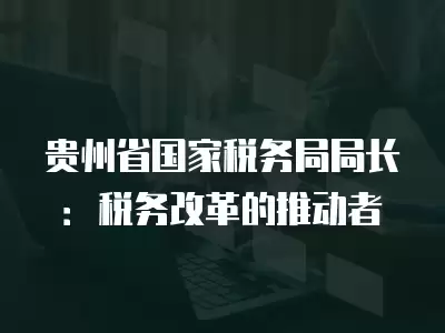 貴州省國家稅務局局長：稅務改革的推動者