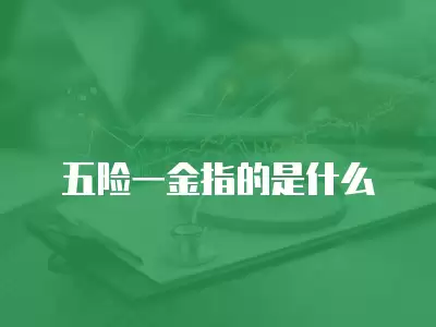 五險一金指的是什么