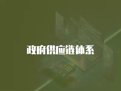 政府供應(yīng)鏈體系