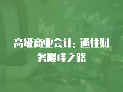 高級(jí)商業(yè)會(huì)計(jì): 通往財(cái)務(wù)巔峰之路