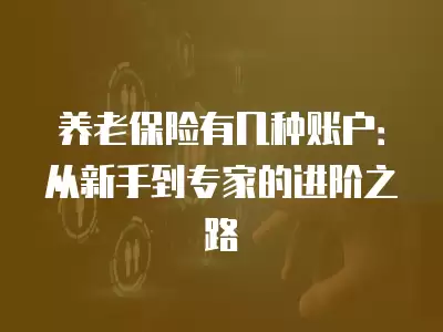 養(yǎng)老保險有幾種賬戶：從新手到專家的進階之路