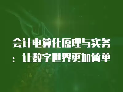 會計電算化原理與實務：讓數(shù)字世界更加簡單