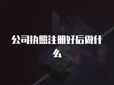 公司執照注冊好后做什么